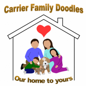 Carrier Family Doodles Logo