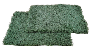 Astro-turf Potty System