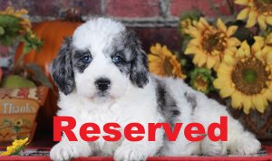 Rita reserved