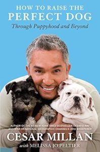 cesar milan perfect dog